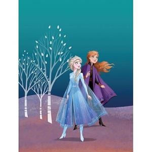 Komar Poster Frozen Anna & Elsa Blauw En Paars - 610152