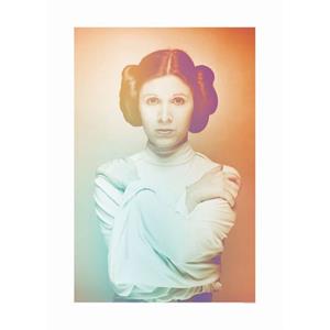 Komar Poster Star Wars Classic Icons Color Leia Oranje En Groen