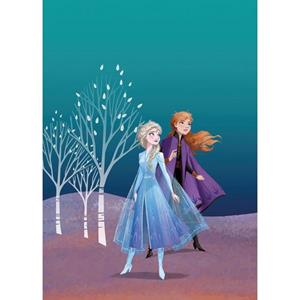 Komar Poster Frozen Anna & Elsa Blauw En Paars - 610154