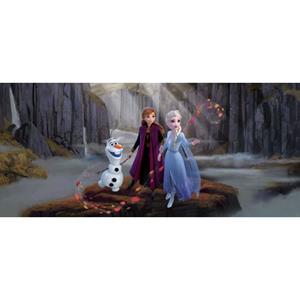 Disney Poster Frozen Anna & Elsa Blauw, Paars En Bruin - 600905