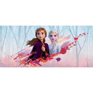 Disney Poster Frozen Anna & Elsa Blauw, Paars En Oranje - 600907