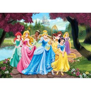 Disney Poster Prinsessen Roze, Geel En Blauw - 600655