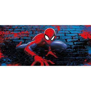 Sanders & Sanders Poster Spider-man Rood En Blauw - 601084