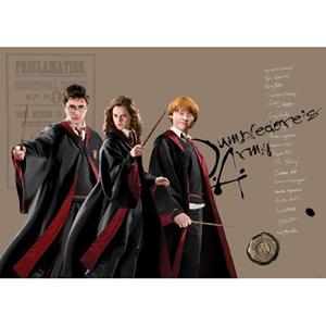 Sanders & Sanders Poster Harry Potter, Hermelien Griffel, Ron Wem