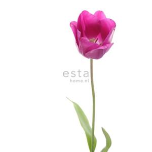 ESTAhome Fotobehang Tulp Roze En Groen - 156502 - 93 X 211,5 Cm