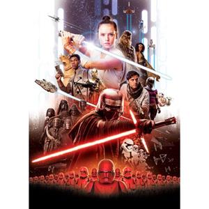 Komar Fotobehang Star Wars Ep9 Movie Poster Rey Multicolor