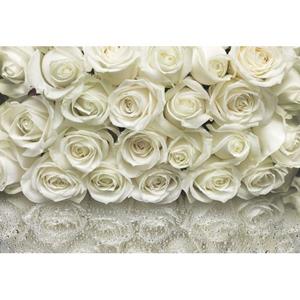 Komar Fotobehang A La Rose Gebroken Wit - 610941 - 368 X 254 Cm