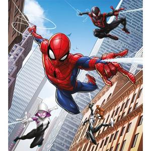 Sanders & Sanders Poster Spider-man Rood En Blauw - 601039