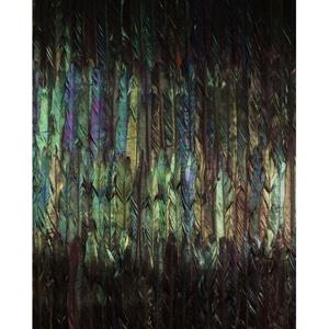 Komar Fotobehang Dark Wings Multicolor - 610005 - 200 X 250 Cm