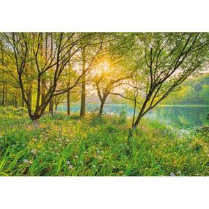 Komar Fotobehang Spring Lake Groen - 610987 - 368 X 254 Cm