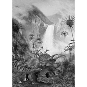 Komar Fotobehang Jurassic Waterfall Zwart Wit - 610837