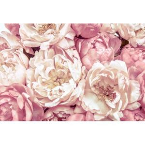 Komar Fotobehang Peonies Roze - 611145 - 368 X 248 Cm