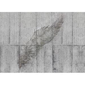 Komar Fotobehang Concrete Feather Grijs - 611642 - 350 X 250 Cm