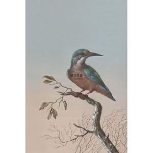 ESTAhome Fotobehang Ijsvogel Op Tak Avondrood - 158888