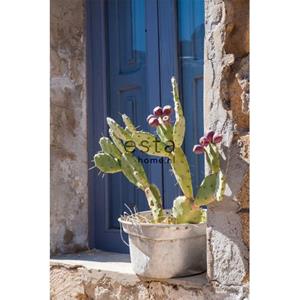 ESTAhome Fotobehang Cactus Blauw, Groen En Beige - 158610