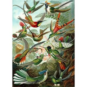 ESTAhome Fotobehang Vogels Tropisch Junglegroen - 158954
