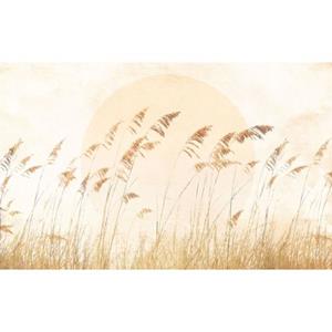 Komar Fotobehang Dune Grass Zand Beige - 611233 - 400 X 250 Cm