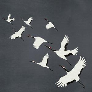 Origin Wallcoverings Fotobehang Kraanvogels Donkergrijs - 357235