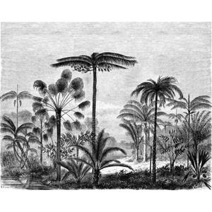 ESTAhome Fotobehang Tropisch Landschap Met Palmbomen Zwart Wit