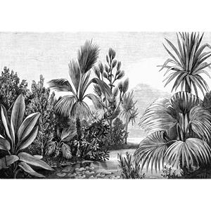 ESTAhome Fotobehang Tropisch Landschap Zwart Wit - 158953
