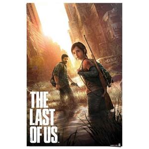Reinders! Poster Playstation - the last of us