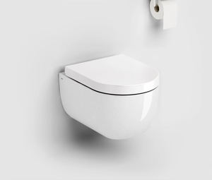Clou Hammock randloos toilet keramiek 49cm met softclose zitting wit glans