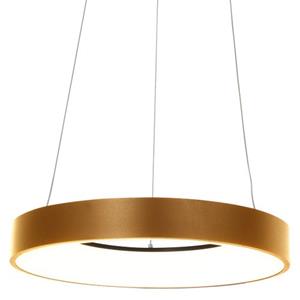 Steinhauer Hanglamp Met Ring  Ringlede Goud
