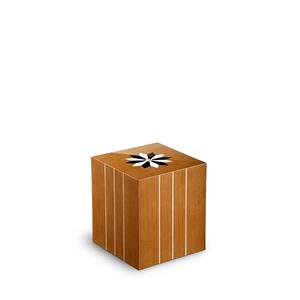 Urnwebshop Rechthoekige Miniurn Fenice Windroos Teak (0.1 liter)