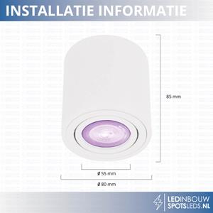 GU10 LED Opbouwspot Rome Wit RGB