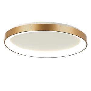 Steinhauer Plafonnière Ringlede | 1-lichts | led | 6 cm | goud&wit