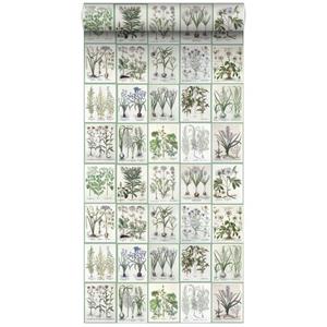 ESTAhome Xxl Behang Bladzijden Botanisch Bloemen En Planten Boek Groen - 50 X 900 Cm