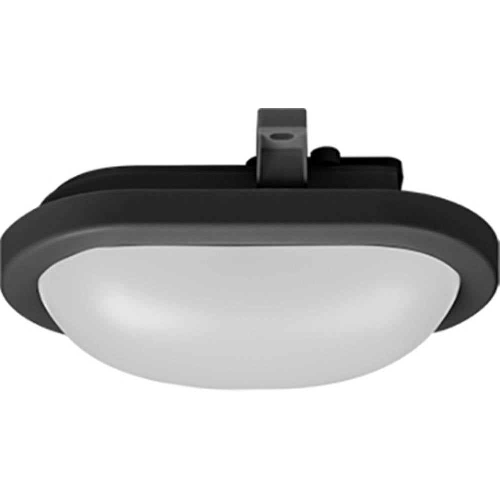 Mlight 81-4183 LED-plafondlamp 12 W Zwart