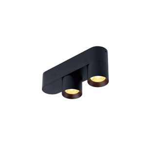 Trizo21  Audy 2 up Rounded Plafondlamp