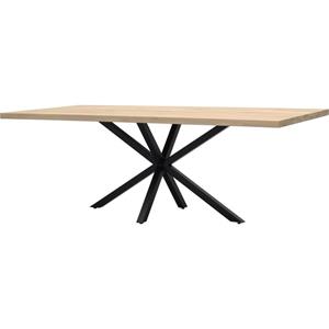 Budget Home Store Eettafel Zeno recht