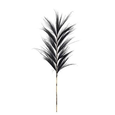 Leen Bakker Droogbloemen Pluim gras - zwart - 118 cm