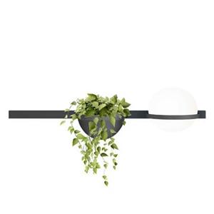 Vibia Palma 3702 wandlamp LED met plantenbak grafiet