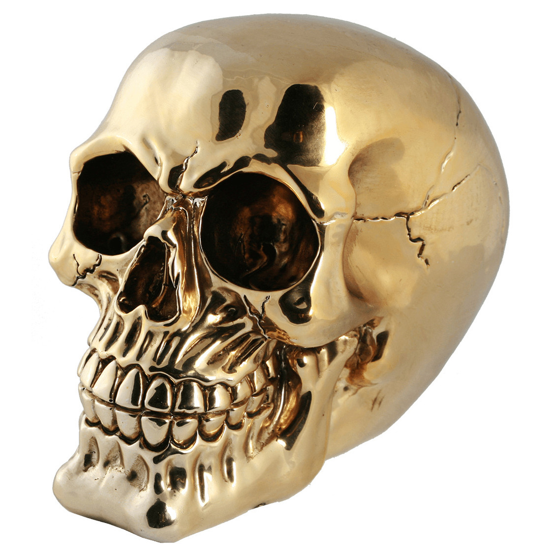 Out of the blue Spaarpot van doodshoofd/Skull - polyresin - 15 cm - Gold Light - Volwassenen -