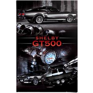 Reinders! Poster Ford Shelby GT500