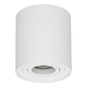 HOFTRONIC™ Dimbare LED Opbouwspot plafond Ray Wit IP20 kantelbaar excl. lichtbron