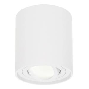 HOFTRONIC™ Dimbare LED Opbouwspot Ray Wit 5W 4000K IP20 kantelbaar