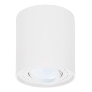 HOFTRONIC™ Dimbare LED Opbouwspot Ray Wit 5W 6000K IP20 kantelbaar