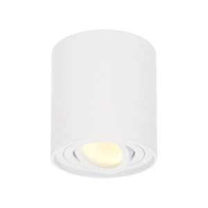 Hofronic Dimbare LED Opbouwspot plafond Ray Wit incl. GU10 spot 5W 2700K IP20 kantelbaar