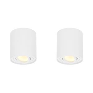 HOFTRONIC™ 2x Dimbare LED Opbouwspot plafond Ray Wit incl. GU10 spot 5W 2700K IP20 kantelbaar