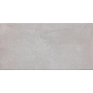 Beste Koop Icon Vloer- en wandtegel 30x60cm 9mm gerectificeerd R9 porcellanato Silver 1498611