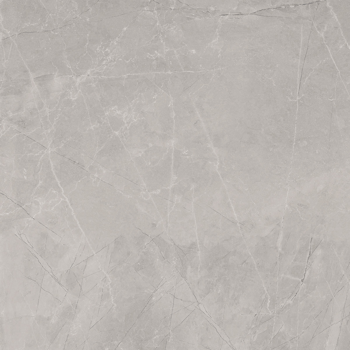 Jabo Tegelsample:  Bayona Silver vloertegel grijs mat 120x120cm gerectificeerd