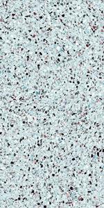 Jabo Tegelsample:  Medley Sugar terrazzo vloertegel 60x120cm gerectificeerd