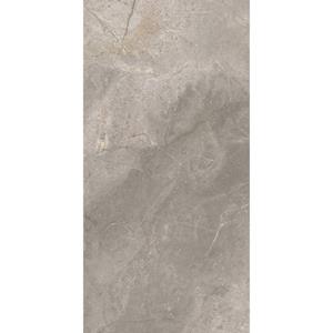 TS-Tiles Vloertegel  Stonemaster Silver 60x120 cm 