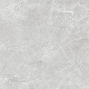 Alaplana Vloertegel  Amalfi 120x120 cm Gris Glans 