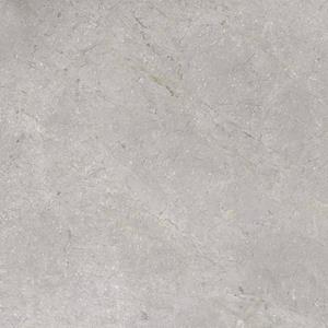 TS-Tiles Vloertegel  Stonemaster Silver 60x60 cm 