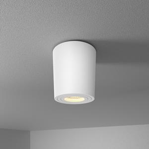 HOFTRONIC™ Paxton LED Opbouwspot plafond - Rond - Wit - Aluminium met poedercoating - IP65 waterdicht voor binnen en buiten - incl. GU10 spot 4000K Neutraal wit - 3 jaar garantie